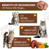 Mushroom Drops for Cats, Natural Cat Immmune Mushroom Liquid Drop with Turkey Tail Mushroom Extract for Immune Support, Digestive & Joint Mobility, Pet Mushroom Herbal Supplement - 2 fl oz (60 ml)