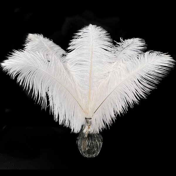 Piokio 20 pcs White Ostrich Feathers Plumes 10-12 inch(25-30 cm) Bulk for DIY Clothing and Accessories, Wedding Party Centerpieces, Gatsby Decorations