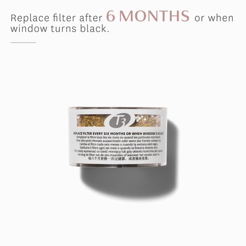 T3 Source Showerhead Replacement Water Filter