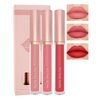 3Pcs Matte Liquid Lipstick Set, High Pigmented Lip Stain Tint, Long Lasting 24H Red Lipstick Waterproof Non-Stick Cup Velvet Lip Gloss, Smudge Proof Not Fade Lip Blam Makeup Gift Box for Women - SET B