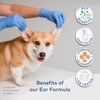ARCA PET - Dog Ear Cleaner Wipes - Cleanser for Dogs - Ear Itching, Dissolves Wax, Dirt & Odor with Coconut Oil & Aloe Vera (50 Finger Wipes)