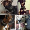 Didog 2" Width Bandana Style Scarf Leather Dog Collar, Spiked Studded Fit Dalmatian Pit Bull Terrier,Brown M Size