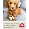 Lanco Small Dog Balls Squeaky Soccer Rubber Dog Toy Puppy (BlackSoccer)
