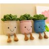 NatureMan Stuffed Plants Succulent Plush, Soft Fluffy Toy Succulent Plants Friend Throw Pillow,Succulents Plushies Pillow Toy Room (Blue)