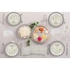 Passover Seder Plate Design Paper Goods Party Set, Party Supplies Disposable Tableware, 9" Plate (24-Pack)