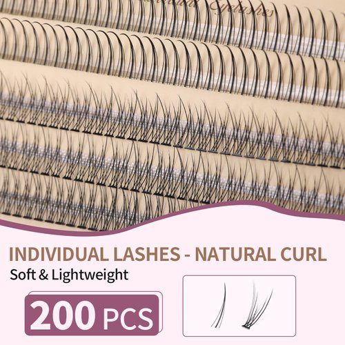 Individual Lashes 200 Clusters Eyelashes Extensions 2 Types C Curl Natural Fairy Manga Lashes 10-12mm Mixed Lashes Clusters DIY at Home (A Type & Fishtail)