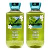 Generic Bath and Body Work TAHITI ISLAND DREAM Body Wash 2 Piece Bundle - 10 fl oz / 295 mL each