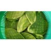 5 Spineless Fresh Edible Cactus Nopales Paddles Cutting