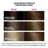 Better Natured Permanent 6N Dark Natural Blonde Hair Color Dye - Naturally-derived, Vegan & 100% Gray Coverage that Lasts up to 8 Weeks