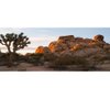 OERJU 48x18 inches Joshua Tree National Park Backdrop Arid Barren Cactus Sandstone Rock Climate Hot Desert Reptile Habitat Natural Photography Background for Terrarium Background Polyester Fabric