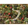 Cobble Hill 1000 Piece Puzzle - Succulent Garden - Sample Poster Included