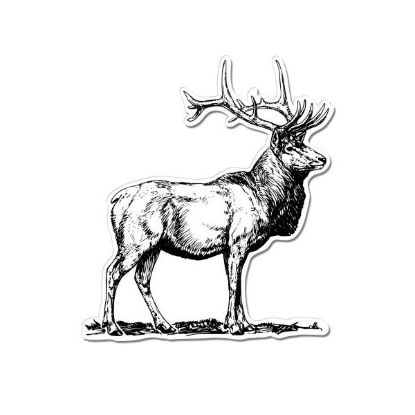 Elk Hand Drawn - 12" Vinyl Sticker Waterproof Decal