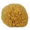 Natural Sea Sponge 6-7" by Spa Destinations "Creating The At-Home Spa Experience"