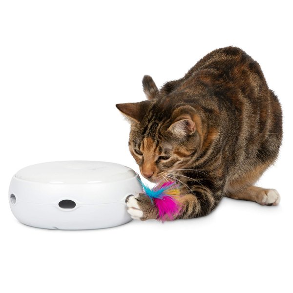 PetFusion Ambush Interactive Cat Toys for Indoor/Outdoor Activity - New & Improved Cat Feather Toys Replacement Feathers Available 12 Month Warranty