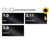 Garnier Olia Ammonia Free Permanent Hair Color, 100% Gray Coverage (Packaging May Vary), 2.0 Soft Black Hair Dye, Pack of 1
