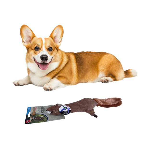 SPOT Skinneeez Plus Squirrel - Stuffing Free Dog Toy with Two Piece Rubber Body and Two Squeakers, Fun to Bite, Stuffingless Design is Great for Moderate Chewers, Tug Toy for Puppies & Dogs - 15in