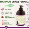 ecoLove - Natural Liquid Hand Soap - Organic Blueberry, Grape & Lavender - No SLS or Parabens - Vegan and Cruelty-Free Hand Soap, 17.6 oz