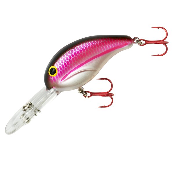 BANDIT LURES Series 300 Crankbait Bass Fishing Lures, Fisghing Accessories, Dives to 12-feet Deep, 2', 1/4 oz, Grenada Shad, (BDT3D46)