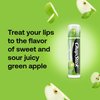 ChapStick Lip Moisturizer, Green Apple, 12-Pack – Bulk Lip Balm, Sweet & Tangy, 0.15 Oz Ea