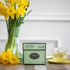 Smith Teamaker | Spring Greens No. 8 | Organic Mao Feng | Caffeinated Full Leaf Green Tea | Sugar-Free, Non-GMO, Plant Based (15 Sachets, 1.3oz each)