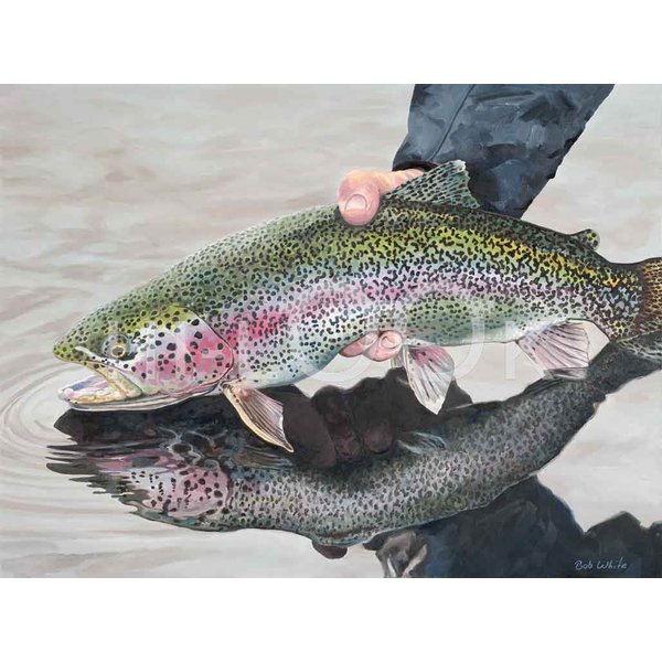Hi-Look Microfiber Cleaning Cloth - Rainbow Trout