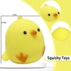Chicken Stress Balls Squishy Toys for Kids Party Favors, Dough Ball, Squeeze Toys for Adults, Funny Cute Farm Animals Stress Ball Sensory Toys for Autism