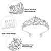 WILLBOND 2 Pieces Prom Queen Satin Sash Prom Sash Rhinestone Crystal Tiara Crown with Comb for Graduation and Prom Party Supplies(Silver,Delicate Style)