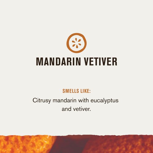 Every Man Jack Mandarin Vetiver Body Wash - 16.9 fl oz