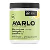 Harlo - Citrus Salt Electrolyte Drink Mix with Bovine Collagen & Creatine - Creatine Monohydrate Powder - Energy Drink Powder - Pre Workout Powder - Sugar Free Energy Drinks - Post Workout Recovery
