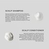 Sachajuan Scalp Shampoo and Conditioner Set with Heat Protectant - Removes Dandruff and Soothes Irritated Scalp - With Piroctone Olamine and Climbazole - Set of 3 (8.4 oz)