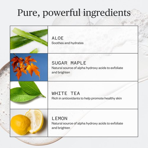 Ursa Major Fantastic Face Wash | Natural, Vegan & Cruelty Free | Daily Foaming Facial Cleanser for Men & Women | 8 ounces