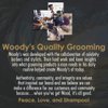 Woody's Pomade for Men, Styling Cream, Add Texture with Healthy Shine Finish, Medium Hold, Water-Soluble and Easy to Apply, Non-Sticky, Non-Flaking & Safe for all Hair Types, 3.4 oz. 2-Pack