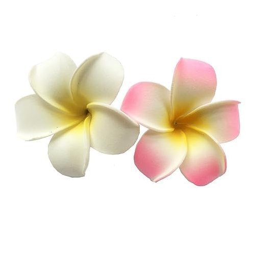 2 Pcs 7Cm White and Pink Hawaiian Frangipani Plumeria Clips and Barrettes Foam Head Flower Party Beach Hair Clip Hair Clips Hair Accessories