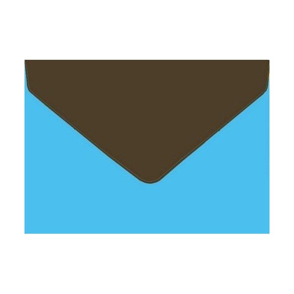 Brown-Teal Dual Tone Greeting Card Envelopes, A9, 15/PK