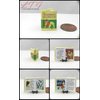 Miniature Children Story Book 1:12 Scale Illustrated Readable Book #1 Mini Dollhouse Accessories by Little Things of Interest