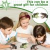 SCAHOW Realistic Tree Frog Figure Plastic Hand Painted Bullfrog Figurine Educational Rubber Animal Model Toys for Kids Children