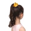 PNEIFON 4 Pack Hair Scrunchies, Sequin Scrunchies Elastic Stretch Sparkly Glitter Fashion Scrunchie Hair Tie Ponytail Holders Bun Cover for Girls and Women (style1)