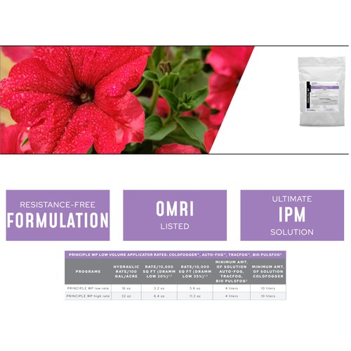 BioWorks Principle WP Bio-Insecticide - 1LB | OMRI Listed Fungus for Organic Control of Thrips, Aphids, Whiteflies with Indicator Sheet