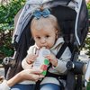 Serenity Kids 6+ Months Certified Organic Baby Food Pouches Veggie Puree | No Sugary Fruits or Added Sugar | Allergen Free | 3.5 Ounce BPA-Free Pouch | Variety Pack | 8 Count