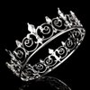 AOPRIE King & Queen Artemis Tiara and Crown for Women Men Crystal Hair Accessories for Wedding Prom Bridal Birthday Party Halloween Costume Christmas Gifts Silver Princess Tiara for Girls Boys