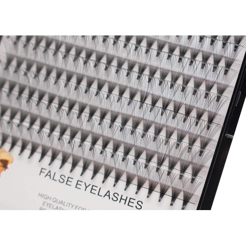 Bodermincer 200pcs 20D Premade Volume Fans Eye Lashes Extensions Thickness 0.07mm 8-16mm to Choose Black Soft Individual False Eyelashes Makeup Fake Lashes Cluster（10mm）