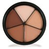 Mehron Makeup Tattoo Cover ProColoRing | 5 Color Wheel Pro Color Ring| Made in the USA | Tattoo Cover Up Makeup | Concealer