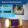 PetSafe Busy Buddy Nobbly Nubbly Treat Holding Dog Toy – Strong Chewers – Challenging - Treat Rings Included - Small, multi color