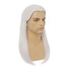 Dai Cloud White Straight Wigs for Men Halloween Costume Wig Long White Straight Male Hair Cosplay Anime Wig for Party