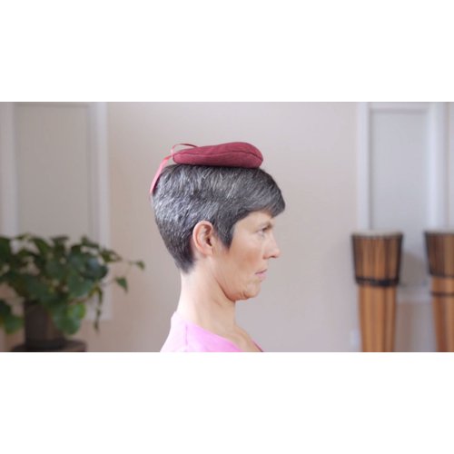 Gokhale Method Gokhale Head Cushion Upper body posture trainer for relief from lower back pain, neck pain, shoulder pain, fibromyalgia