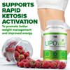 (2 Pack) Lipo Vive Advanced Formula Pills, LipoVive Dietary Support Supplement, Supports Overall Wellness, Lipo Vive Maximum Strength (120 Capsules)