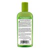 Hollywood Beauty Olive Hair Oil, 8oz Bottle, Also for Bath, Body and Nails, Fights hair breakage, Hair treatment, Adds shine, Heat Protection
