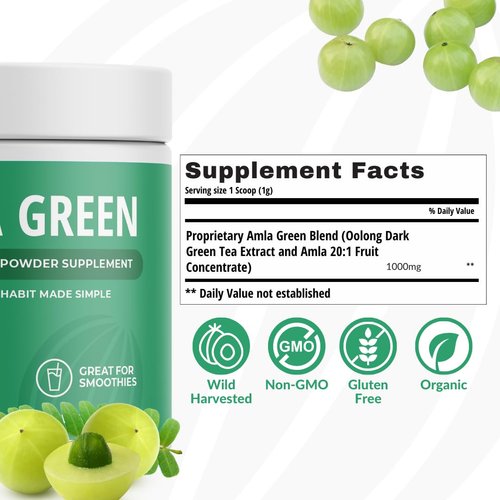 Amla Green Tea Superfood Powder Supplement, 20x Concentrated Amla, Daily Greens Antioxidant Blend with Organic Oolong Tea and Indian Gooseberries, Classic, 30 Servings