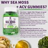 Sea Moss Supplement 5000mg, Sugar Free Sea Moss Gummies, Irish Sea Moss, Burdock Root, Bladderwrack, Apple Cider Vinegar, Organic Sea Moss, Immune System, Detox Cleanse, Thyroid Support, Vegan 60 Cts
