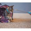 CAT SCHOOL Clicker Training Kit - 1 Cat Training Clicker, 1 Target Stick, 1 Step-by-Step Instruction Booklet - Clicker Tools for Cat Training, Fist Bump Training, Positive Behavior